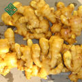 Best Quality Ginger price of fresh ginger